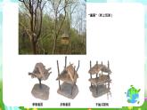 鄂教版科学三下15《做房子的材料》课件
