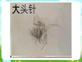 鄂教版科学三下21《电磁铁》课件