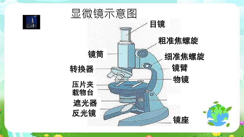 青岛版（五四制）科学五1《细胞》课件第4页