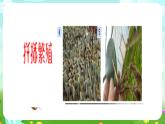 青岛版（五四制）科学五下5《生物繁殖新技术》课件+素材