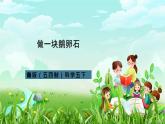 青岛版（五四制）科学五下10《做一块卵石》课件+素材