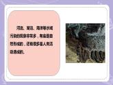 【核心素養(yǎng)】冀人版科學(xué)六年級(jí)下冊(cè) 2.5水污染 同步課件+同步教案+同步練習(xí)