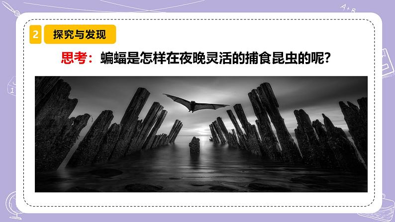 【核心素养】冀人版科学六年级下册 3.7蝙蝠与雷达 同步课件第4页