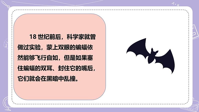 【核心素养】冀人版科学六年级下册 3.7蝙蝠与雷达 同步课件第5页