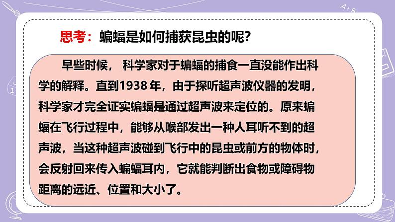 【核心素养】冀人版科学六年级下册 3.7蝙蝠与雷达 同步课件第8页