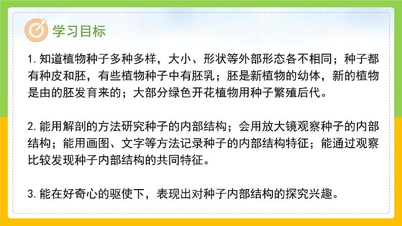 教科版科学四下 1.1 《种子里孕育着新生命》课件第2页