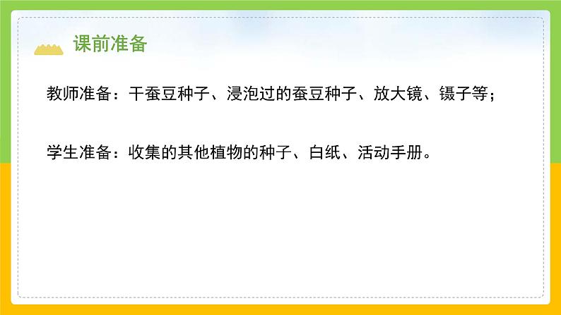 教科版科学四下 1.1 《种子里孕育着新生命》课件第3页