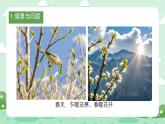 冀人版小學(xué)科學(xué)六年級下冊 《3.四季的形成》 課件+教案