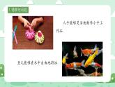 冀人版小學(xué)科學(xué)六年級(jí)下冊(cè) 《8.生物的啟示》 課件+課件