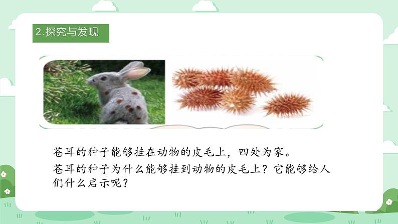 冀人版小学科学六年级下册 《8.生物的启示》 课件第4页