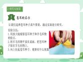 冀人版小學(xué)科學(xué)六年級(jí)下冊(cè) 《8.生物的啟示》 課件+課件