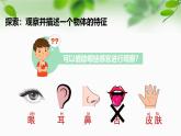 新教科版一年級科學(xué)下冊第一單元第1課《觀察物體的特征》課件