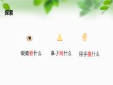 新教科版一年級科學(xué)下冊第一單元第6課《哪個流動得快》課件
