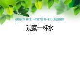 新教科版一年級科學下冊第一單元第5課《觀察一杯水》課件