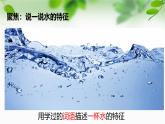 新教科版一年級科學下冊第一單元第5課《觀察一杯水》課件