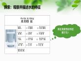 新教科版一年級科學下冊第一單元第5課《觀察一杯水》課件