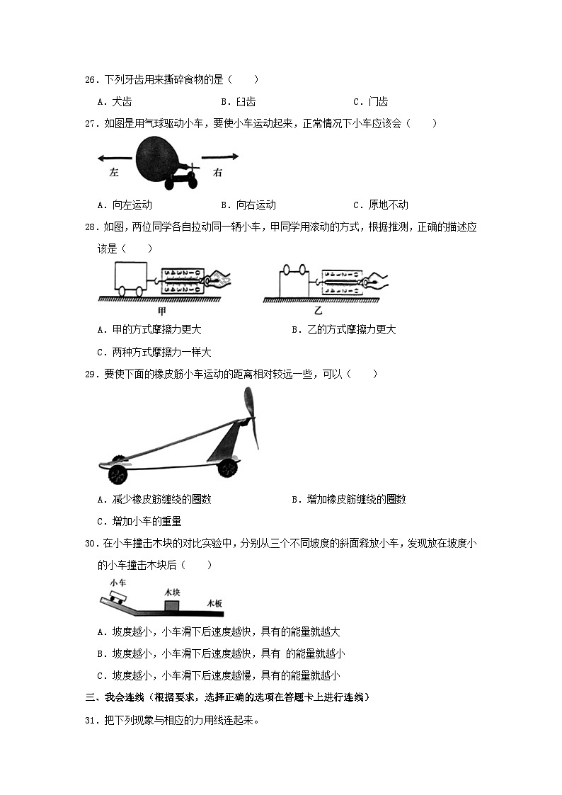 2022-2023学年河北省廊坊市三河市四年级上学期期末科学真题及答案第3页