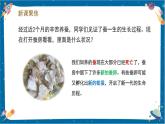 【核心素養(yǎng)】2.6《蠶的一生》課件+教案（教科版科學三下）