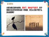 【核心素養(yǎng)】3.2《陽光下物體的影子》課件+教案（教科版科學(xué)三下）