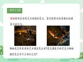 冀人版小學(xué)科學(xué)六年級(jí)下冊(cè) 《7.蝙蝠和雷達(dá)》 課件+教案