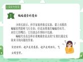冀人版小學(xué)科學(xué)六年級(jí)下冊(cè) 《7.蝙蝠和雷達(dá)》 課件+教案