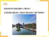 【核心素养】3.7《分析一个实际的环境问题》课件+教案（教科版科学五年级下册）