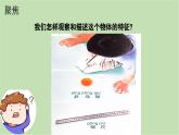 1.觀察物體的特征（課件+教案+練習(xí)）25春新教材教科版一年級下冊