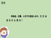 7.它們?nèi)ツ睦锪耍ㄕn件+教案+練習(xí)）25春新教材教科版一年級下冊