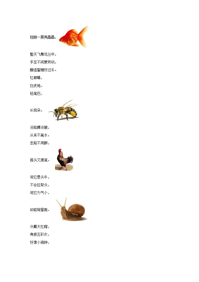 第2.1课 我们周围得动物（作业）25春新教材教科版一年级下册.pptx第2页