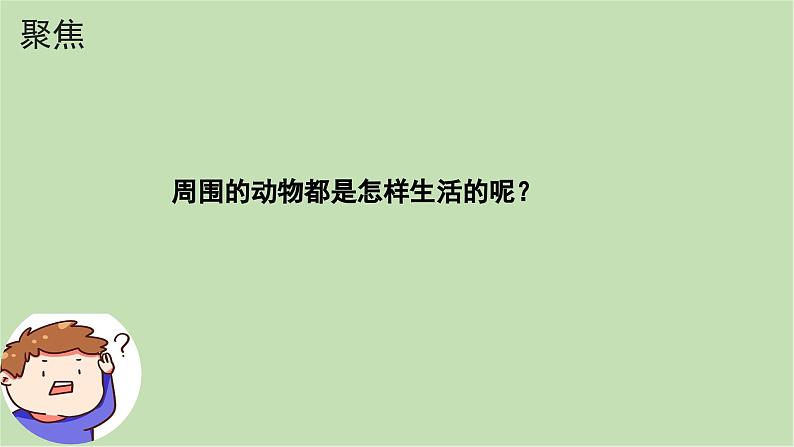 第2.1课 我们周围得动物（课件）25春新教材教科版一年级下册第3页