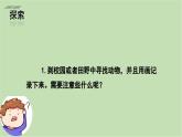 2.1  我們周圍的動物（課件+教案+練習(xí)）25春新教材教科版一年級下冊