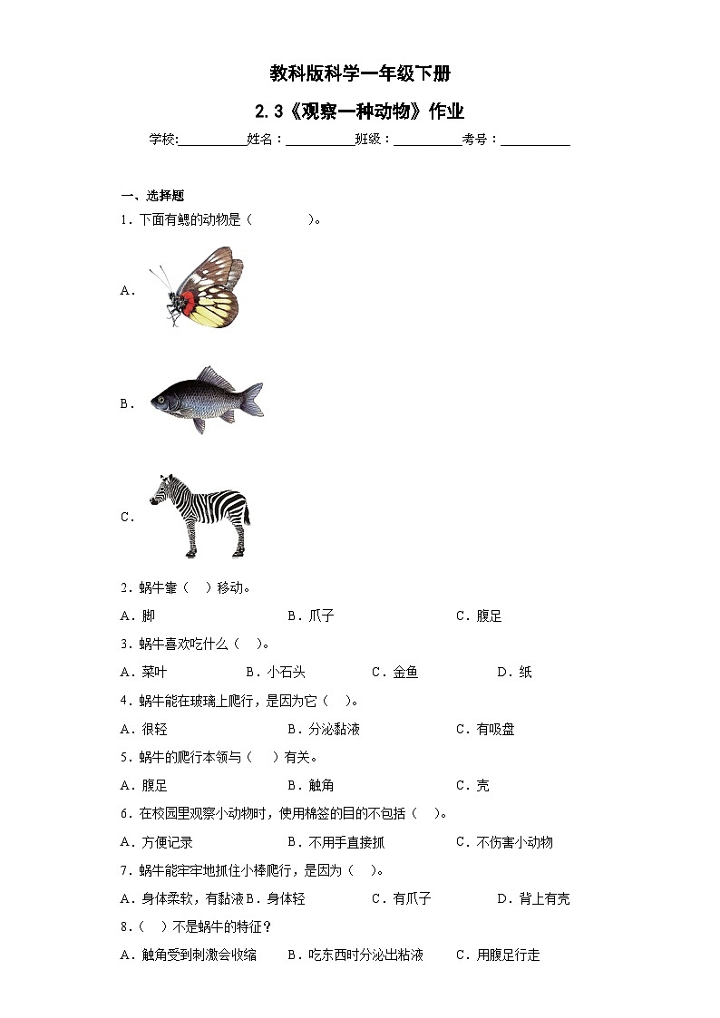 第2.2课 观察一种动物（作业）25春新教材教科版一年级下册.pptx第1页