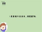 2.2 觀察一種動物（課件+教案+練習(xí)）25春新教材教科版一年級下冊