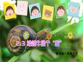 2.3給蝸牛建個(gè)“家”（課件+教案+練習(xí)）25春新教材教科版一年級(jí)下冊(cè)