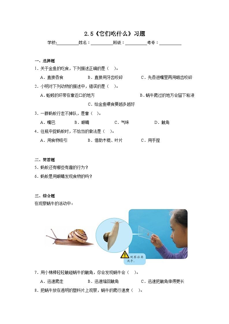 第2.5课 它们吃什么（作业）25春新教材教科版一年级下册.pptx第1页