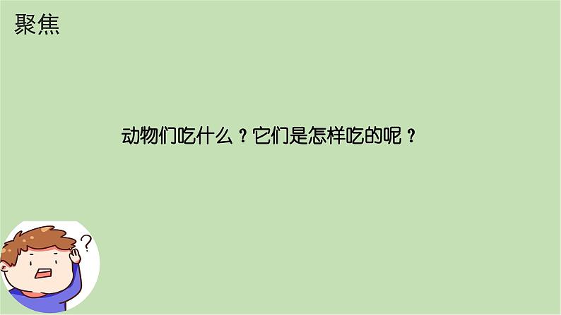 第2.5课 它们吃什么（课件）25春新教材教科版一年级下册第3页