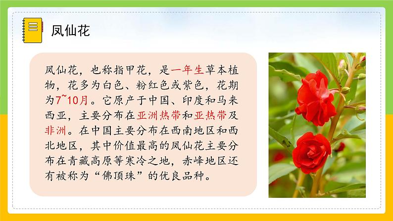 教科版科学四下 1.2 《种植凤仙花》课件第5页