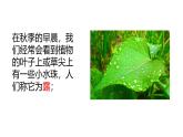小學(xué)冀人版科學(xué)五年級(jí)下冊(cè)第4課 《露和霜》教案+課件