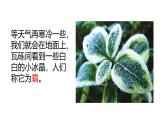 小學(xué)冀人版科學(xué)五年級(jí)下冊(cè)第4課 《露和霜》教案+課件