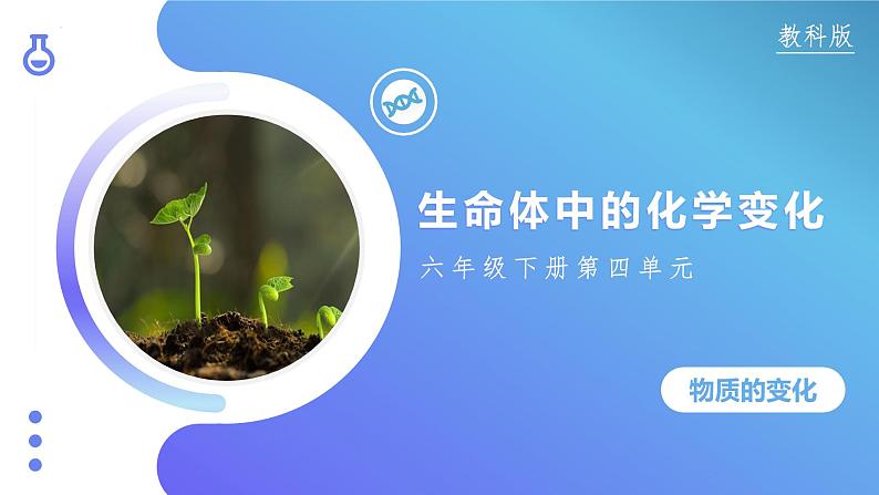 4.6 生命体中的化学变化（教学课件）（教科版）第1页