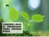 【核心素養(yǎng)】4.6《生命體中的化學(xué)變化》課件+教案（教科版科學(xué)六年級下冊）