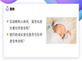 【核心素養(yǎng)】4.6《生命體中的化學(xué)變化》課件+教案（教科版科學(xué)六年級下冊）