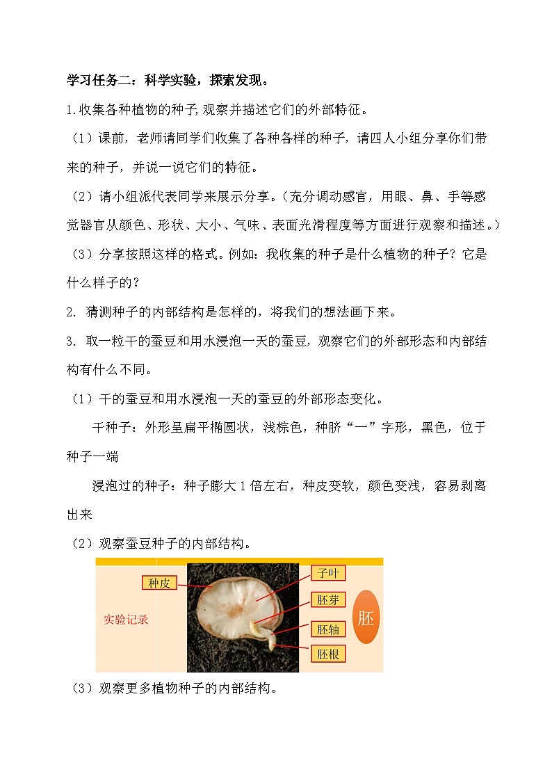 【备课无忧】教科版四下-1.1 种子里孕育着新生命（教案）第3页