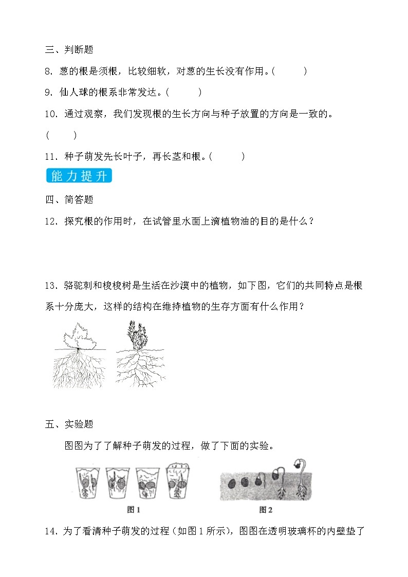 【备课无忧】教科版四下-1.3 种子长出了根（习题）第2页