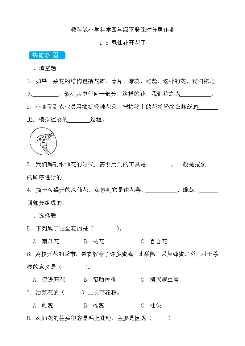 【备课无忧】教科版科学四下-1.5  凤仙花开花了（习题）第1页