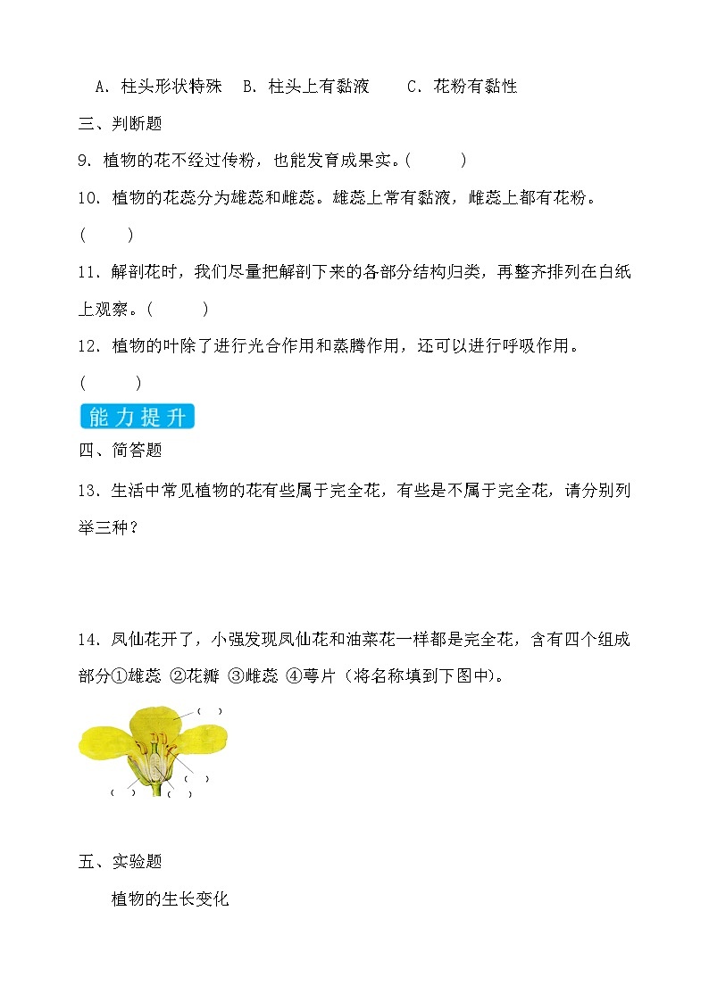 【备课无忧】教科版科学四下-1.5  凤仙花开花了（习题）第2页