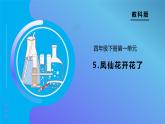 【备课无忧】教科版科学四下-1.5  凤仙花开花了（课件+教案+习题）