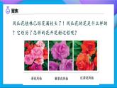 【备课无忧】教科版科学四下-1.5  凤仙花开花了（课件+教案+习题）