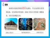 【备课无忧】教科版科学四下-3.1 岩石与土壤的故事（课件+教案+习题）