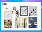 【备课无忧】教科版科学四下-3.4 制作岩石和矿物标本（课件+教案+习题）